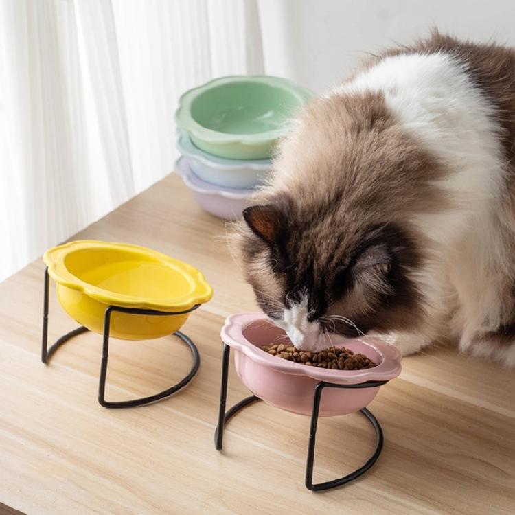 Ceramic Cats Feeder Dish with Nonslip Design Safe Feeding Bowl For Cats Food Water Bowl for Kittens Watering