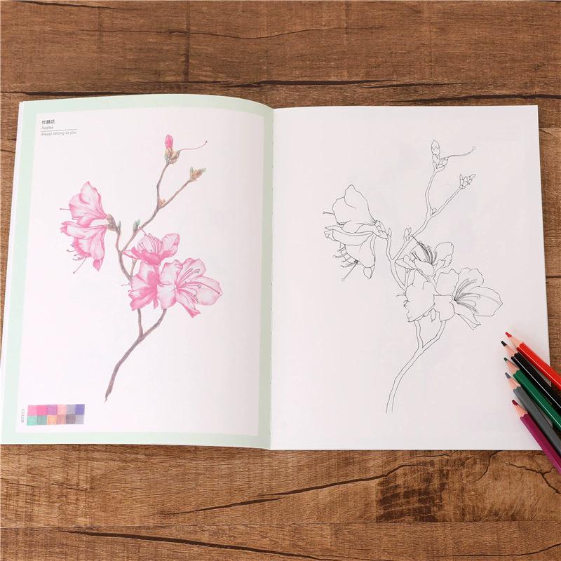 WTEMPO Flower Coloring Book for Adults & Teens High Quality Paper Artistic Floral Design with Exquisite Patterns DIY Stress-Relieving Coloring Books