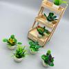 Miniature Dollhouse Potted Plant with Flowers for Landscaping