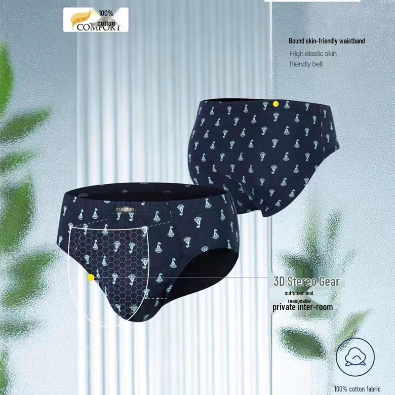 Genuine Jian·Jiang Men's Triangle Briefs - 2 Pack, Pure Cotton, Mid-Waist, Breathable & Comfortable, Bestseller