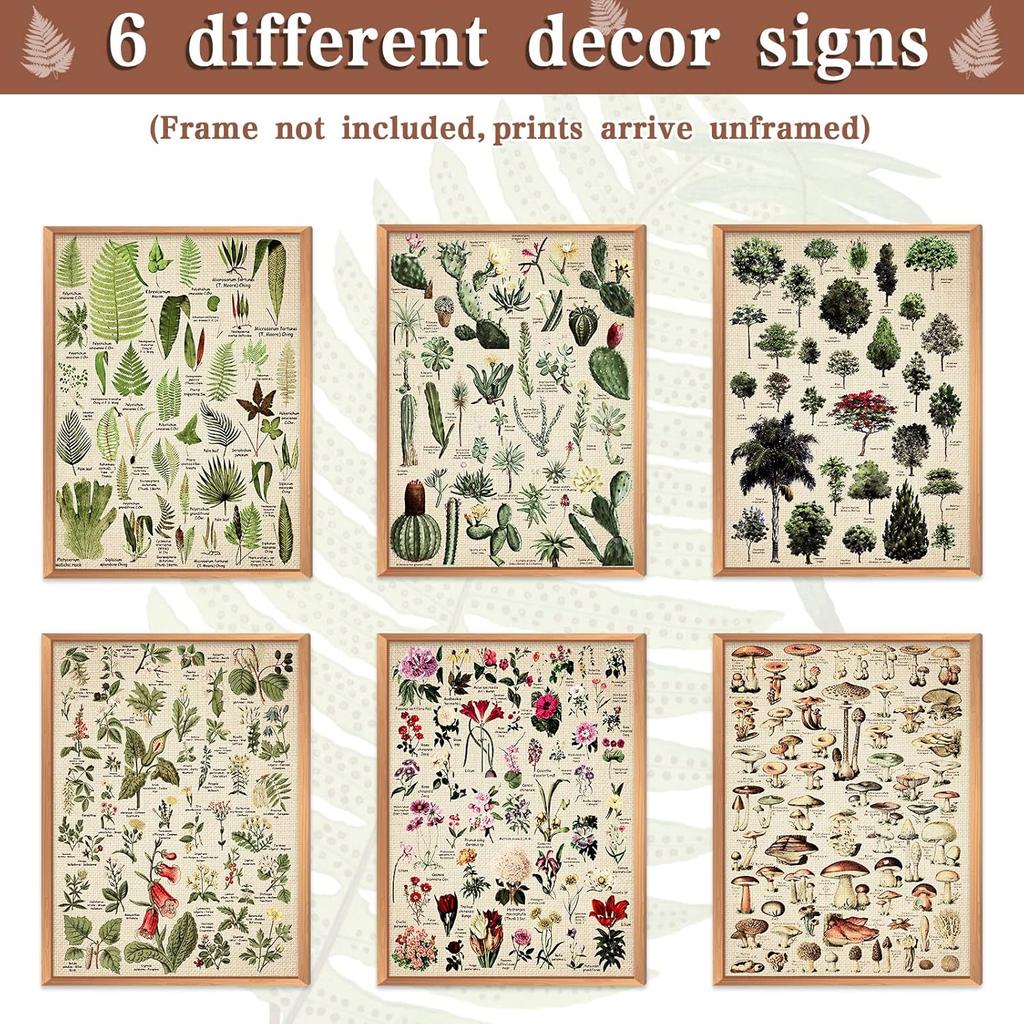 Fainne Set of 6 Plant Poster Vintage Botanical Prints 12 X 16 Inch Linen Decorative Wrap Poster Tree Art Picture Vintage Mushroom Floral Nature Decor