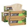 Honest Home 2-Ply Bamboo Facial Tissue Paper Box | 800 Pulls | 200 Pulls X 4 Boxes | Soft And Highly Absorbent | 100% Natural