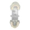 Transparent Dental Model Clear Structure Educational Dental Teeth Display Model for Dental Clinic