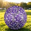 Personalized Size 5 Football Austria Wien FC Pattern Outdoor Game Sports Ball Gift