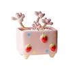 Hand-painted Ceramic Succulent Flower Pot Home Creative and Cute Flowerpot Fruit-shaped Square-mouthed Plant Small Flower Pot