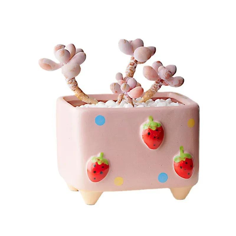 Hand-painted Ceramic Succulent Flower Pot Home Creative and Cute Flowerpot Fruit-shaped Square-mouthed Plant Small Flower Pot