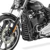 Engine Guard for Harley Davidson Softail 18-25 Radiator Cover CV6