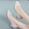 Work Shoes Versatile Medium Heel Single Shoes Women's 2025 Spring New Leather Shoes Pointed Thick Heel Versatile Shallow Mouth Women's Shoes
