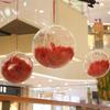 6-piece Set of Transparent Plastic Balls/5cm Acrylic Ball Transparent Capsules