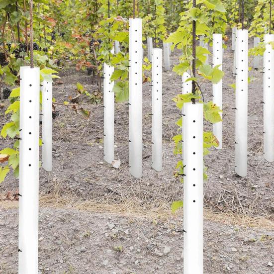 5 Stück Baumsetzling Wachstuben Belüftete Setzlingsschutzrohre 36 Zoll 48 Zoll Geteilte Baumwachstums-Schutzvorrichtungen mit Reißverschluss für Pflanzenschutz