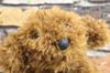 Shinada Mini Poodle Plush 9 X 2 X Animal Toy, 15.5cm, Merchandise, MMTP-0248