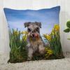 Pillow Cover Customize Schnauzer Pillow Case Modern Home Decorative Pillowcase For Living Room 45X45Cm,40X40Cm A.4.29