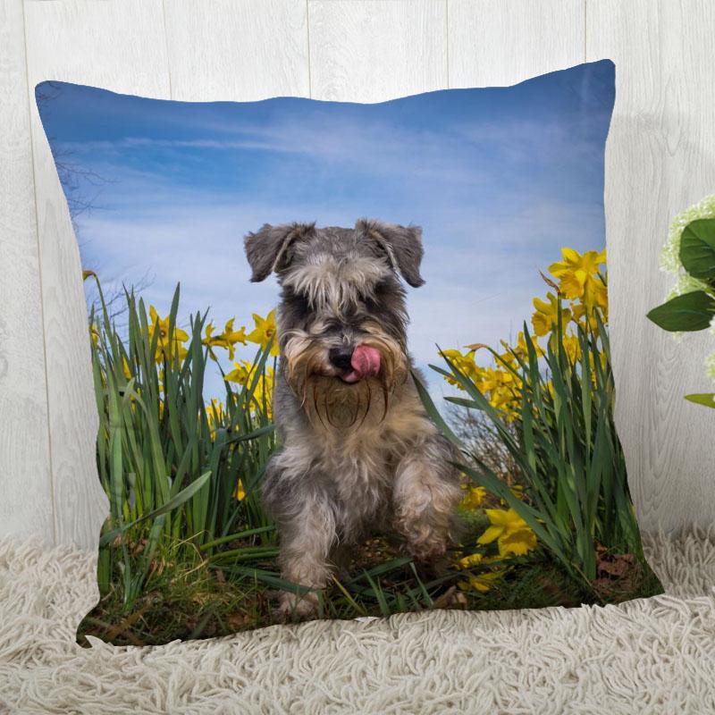 Pillow Cover Customize Schnauzer Pillow Case Modern Home Decorative Pillowcase For Living Room 45X45Cm,40X40Cm A.4.29