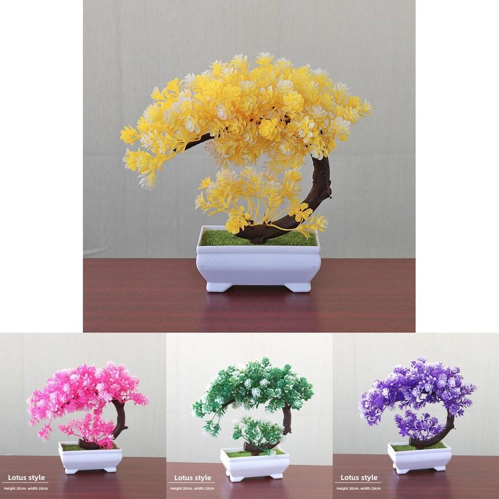 Plastic Bonsai Terrarium With Creative Design For Indoor Garden Display
