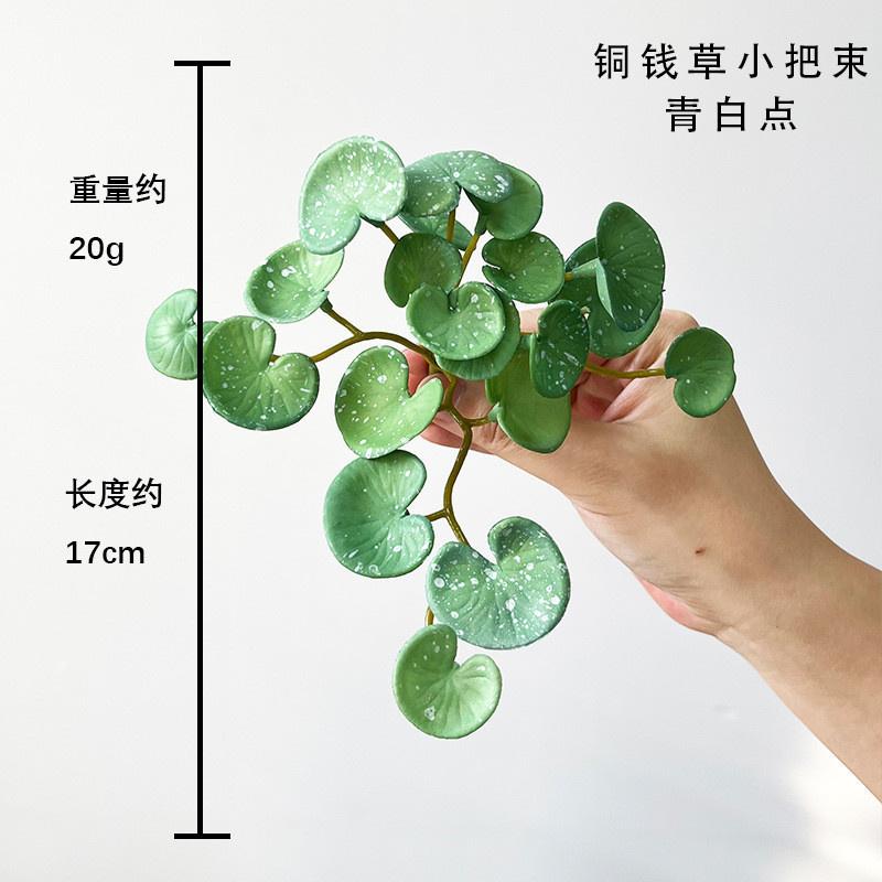 

Мягкий с мягкой текстурой Мини искусственные листья Медь Деньги Трава Домашнее украшение Зеленое растение Настольное размещение