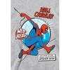 Spider-Man Childrens/Kids Friendly Neighborhood Wall Crawler Comic Heather Pull Over Hoodie