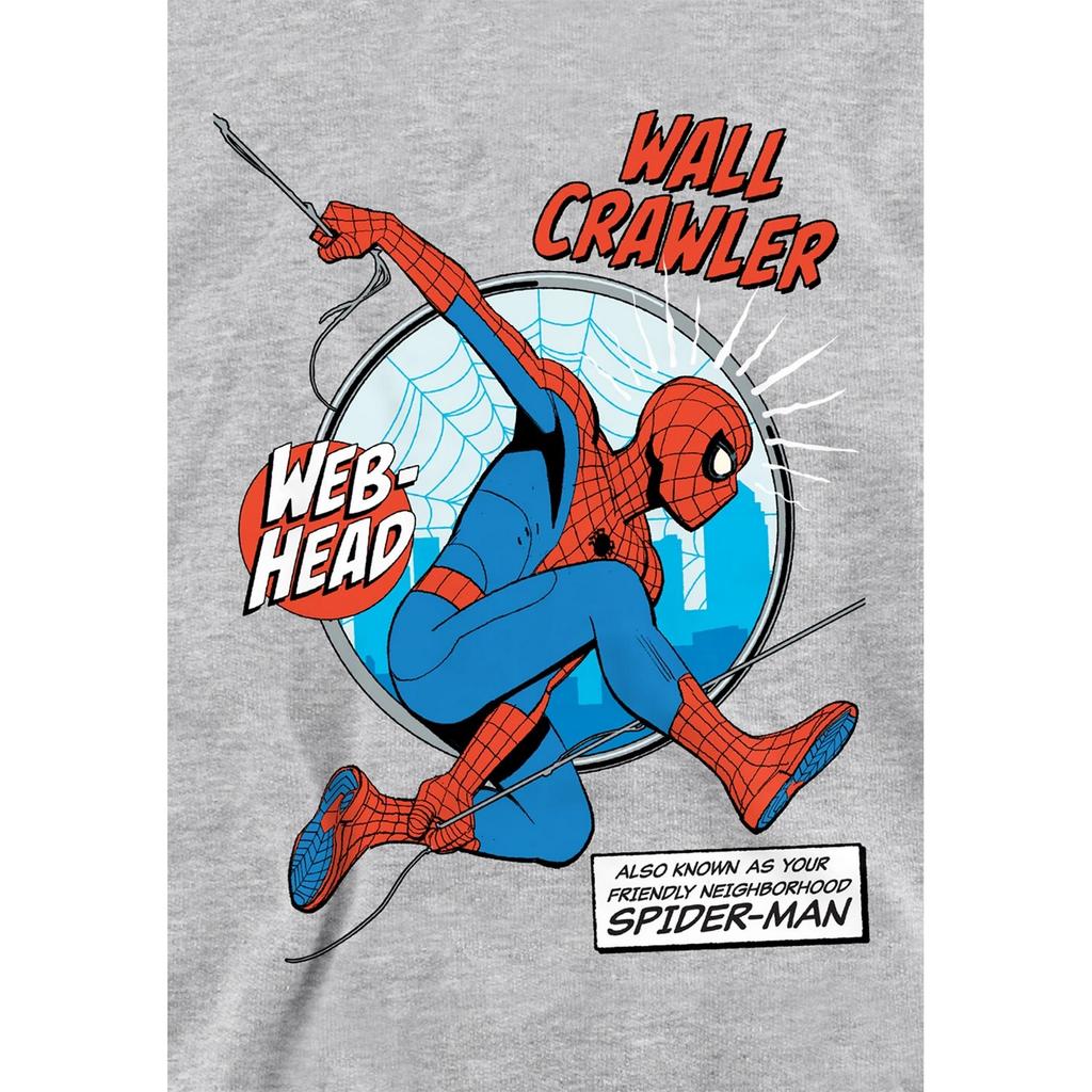 Spider-Man Childrens/Kids Friendly Neighborhood Wall Crawler Comic Heather Pull Over Hoodie