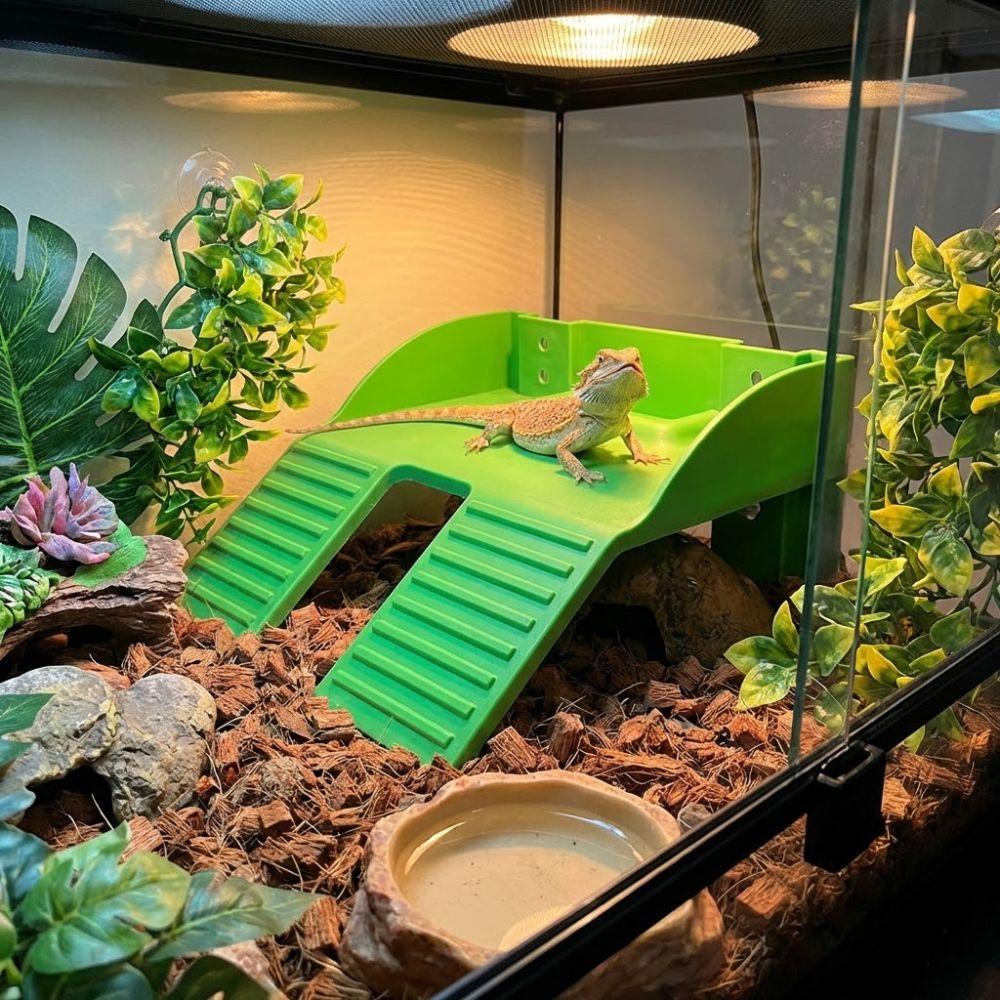 Double Ladder Turtle Basking Platform Plastic Feeding Platform Aquatic Turtles
