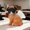 Cute Poodle Tissue Box Home Living Room Decoration Decoration Tissue Box Kitchen and Bathroom Storage Supplies Gift