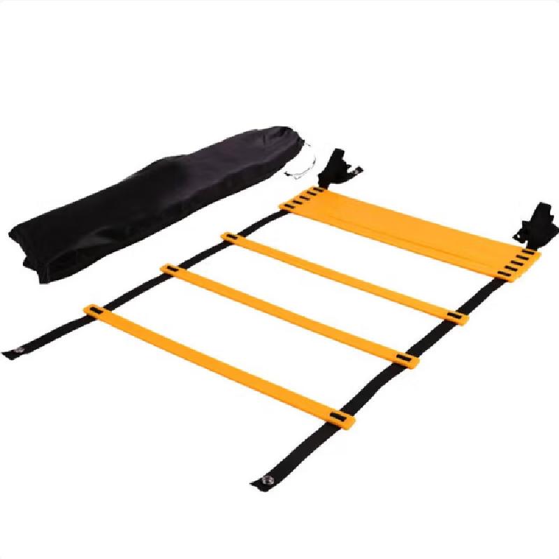 Agility Training Ladder
