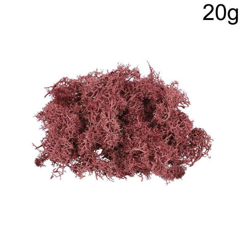 20g Artificial Preserved Moss Eternal Life Green Grass for DIY Crafts Mini Landscape Living Room Home Garden Decoration Supplies