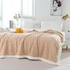 Double-layer Thickened Lambskin Jacquard Tuff Fleece Blanket for Office Nap - Solid Color AB Version.