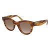 Used [Good Condition] CELINE / Celine | Cell Frame Cat Eye Sunglasses Eyewear | 4823-145 | Tortoiseshell