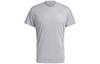 T Shirt Men's Light Gray GJ9969