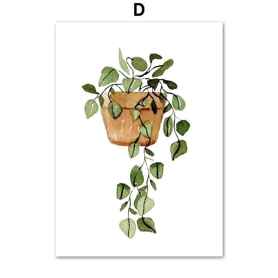 Cactus Tigre Pilan Monstera Piante Verdi Arte Murale Poster Nordici Pittura su Tela E Stampe Immagini da Parete Per Arredamento Soggiorno