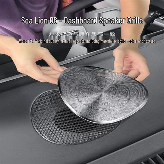 BYD Sea Lion Armaturenbrett & Audio Dekorative Abdeckung
