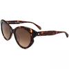 Kate Spade Women S 53mm Red SunglaSSeS Havana