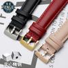 Genuine Leather Watch Band Women's Watch Strap for Folli Follie Lady Bubble Series Notch Pin Buckle Watch Bracelet 12MM 16MM 20