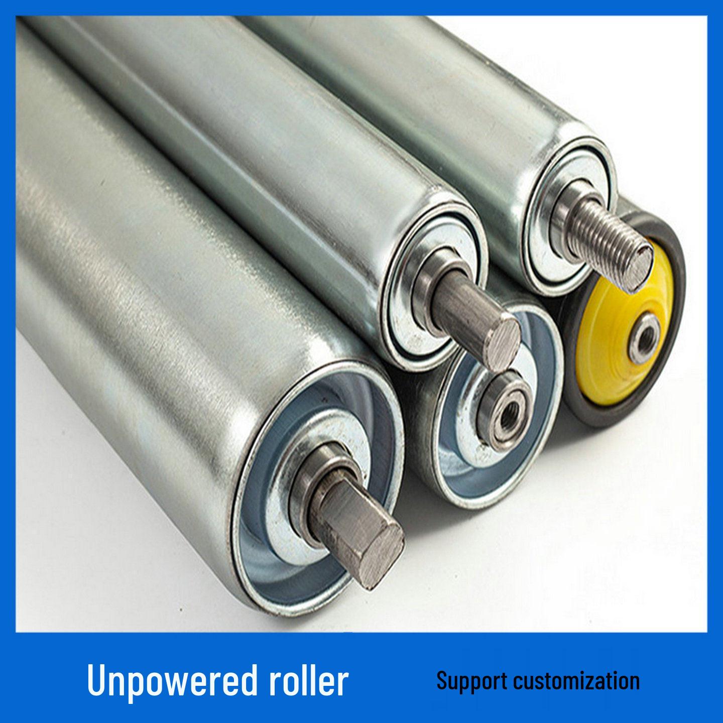 Stainless Steel Non-Powered Roller Idler 25