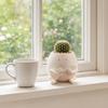Guitarist Big Head Planter, Cute Smiling Face Flower Pot, Fun Guitar Player Plant Pot for Succulents Cacti Desk Shelf Decor
