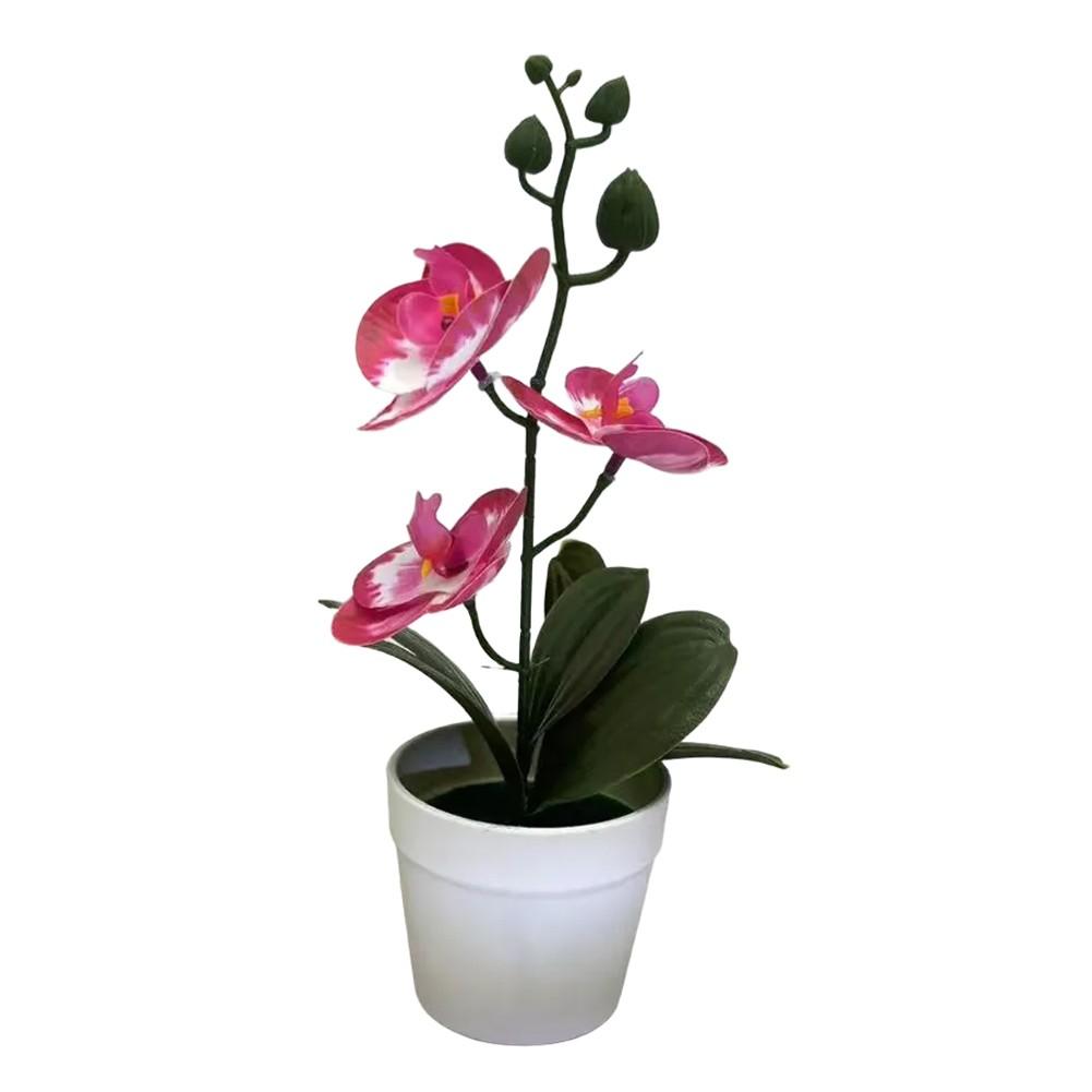 Fake Flower Plant Phalaenopsis Bonsai Easy To Style