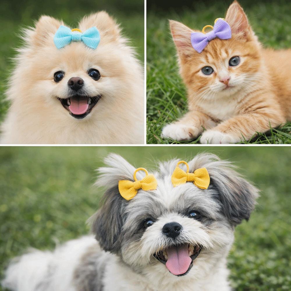 10/20/30pcs Pet Dog Grooming Hair Bows Hairpin Small Puppy Hair Bows Solid Color Pet Hair Accessories Pet Hair Ties Daily Use