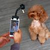 Селфі-палиця для домашніх тварин Інструмент для фотографування собак DD-13096