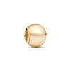 Pandora Golden Charm 763781C01
