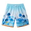 Beach Pants Men'S Quick-Drying Can Be Launched Loose Large-Size Swimming Trunks Seaside Vacation Five-Point Swimming Shorts Soaking In Hot Springs