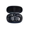 Language Translator Earbuds Multifunction Noise Reduction 144 Kinds Languages Real Time Translation Headphone Translator Earbuds