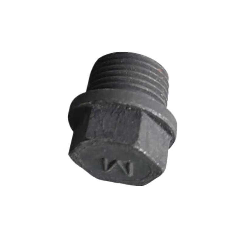 Oil Pan Drain Plug
