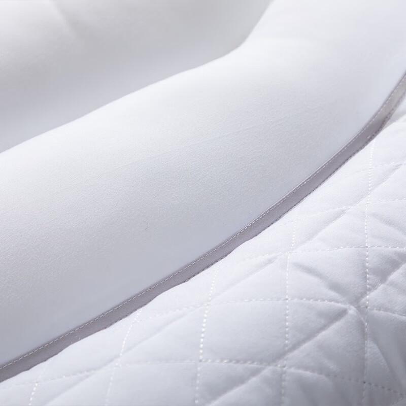 Mercury Home Textiles Cassia Seed Antibacterial Pillow