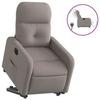 VidaXL Electric Recliner, Relaxation Chair with Adjustable Backrest and Footrest, Living Room Seat 3206820