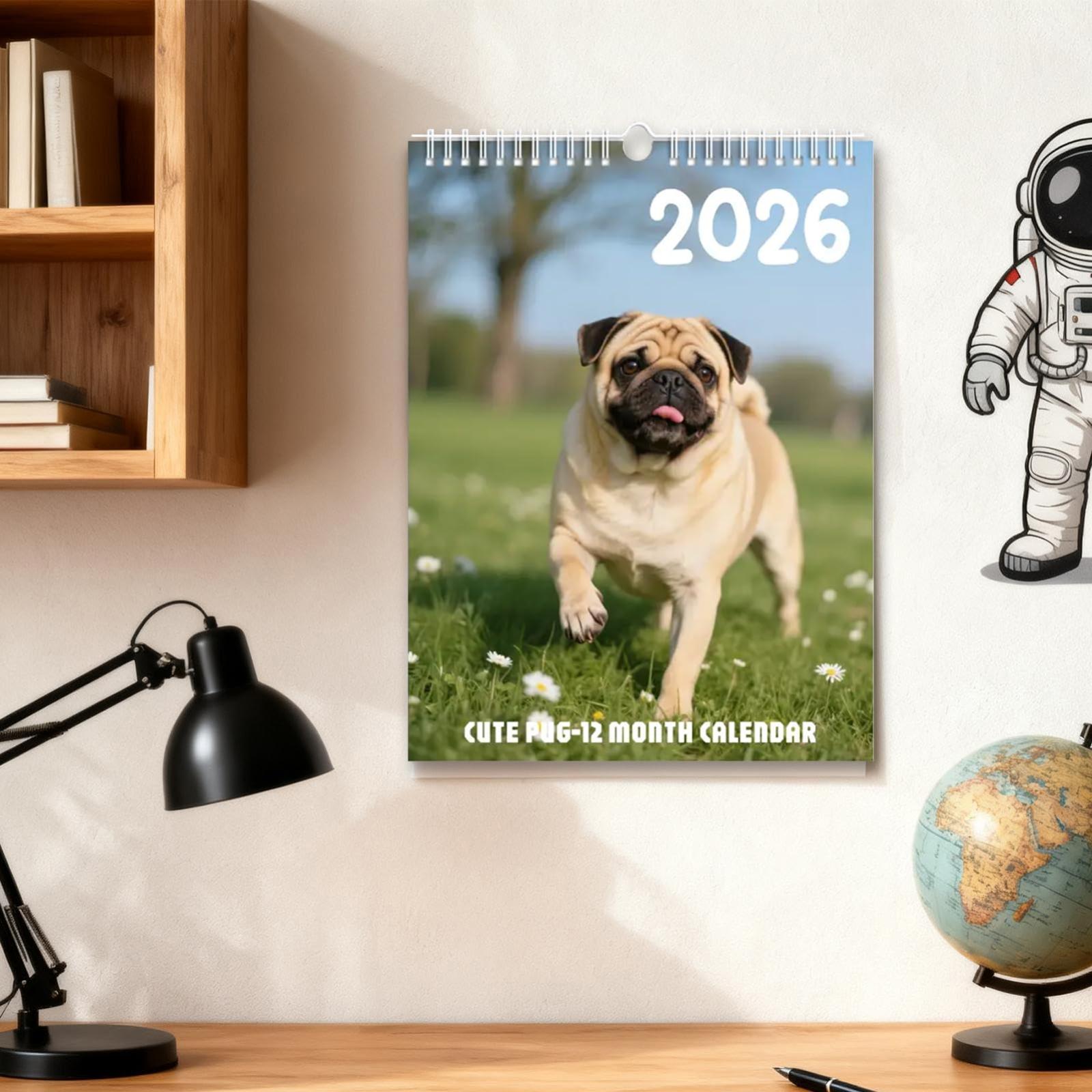 

Настенный календарь на 2026 год, Календарь на забавную тему, Забавный подарок для общения, Идеальный выбор для домашнего использования. One Size