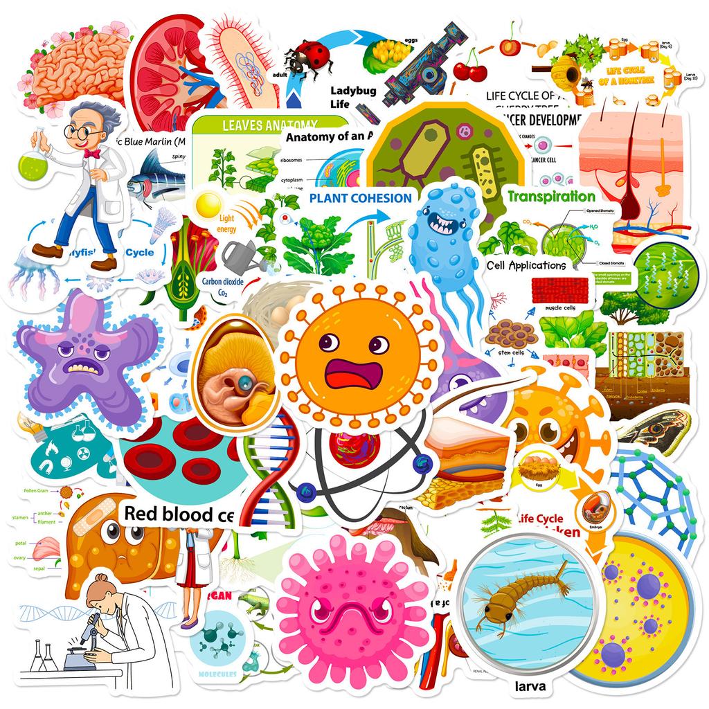 50 Biomedical Stickers New Product Biology Laboratory Children's Picture Recognition Puzzle Science Stickers