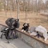 Ins Baby Stroller Detachable Storage Bag - Waterproof Accessory for Bottles, Diapers, and More