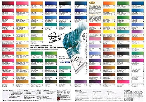 Holbein Aqua Ölfarbe DUO DU903 20ml 12-Farben-Set 23903