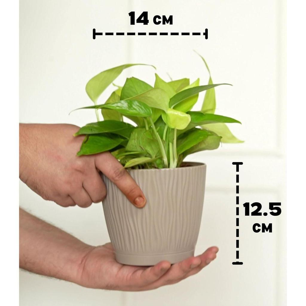 Combo of 8 Self Watering Flower Pots for Living Room & Home Decor | Plastic Plant Pots for Indoor, Balcony & Garden