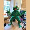 Halloween Cosplay Men's Frog Prince Cosplay Novelty One-piece Adult Animal Party Suit