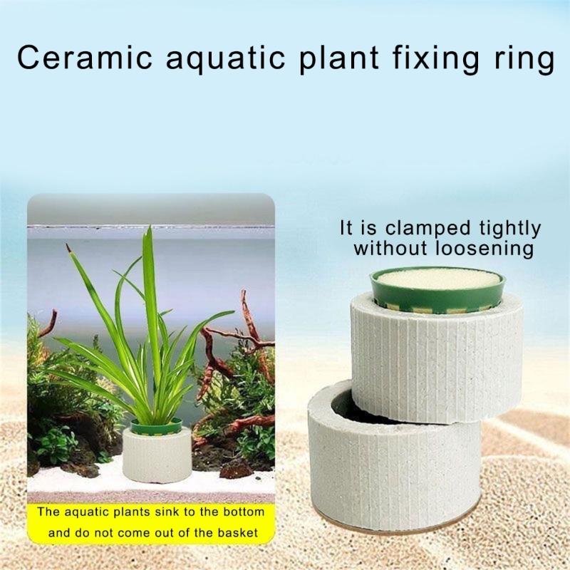 30 Stück Keramik Pflanzengewichte Kein Auftrieb Vegetationsstabilisatoren für Aquascaping Landschaften